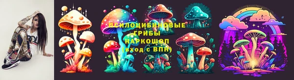 стафф Богородицк