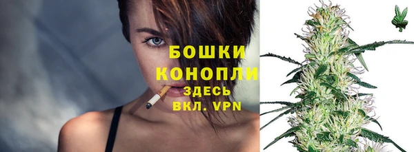 стафф Богородицк