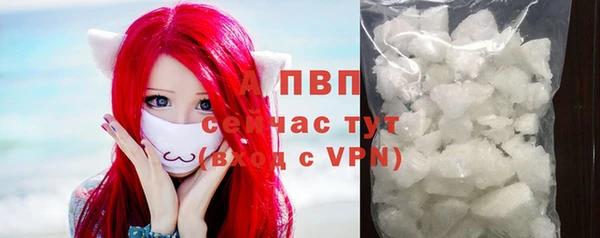 стафф Богородицк