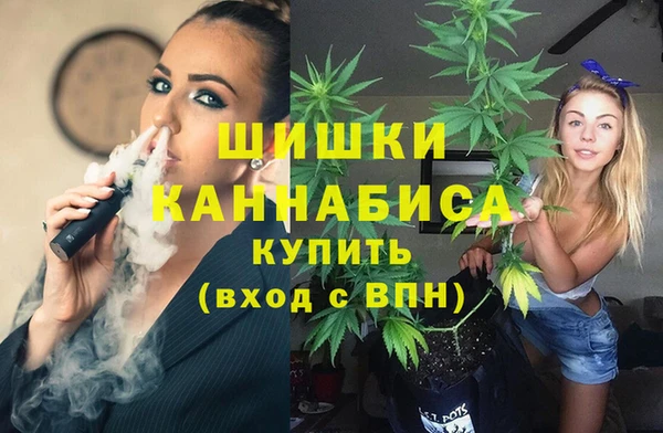 mix Богородск