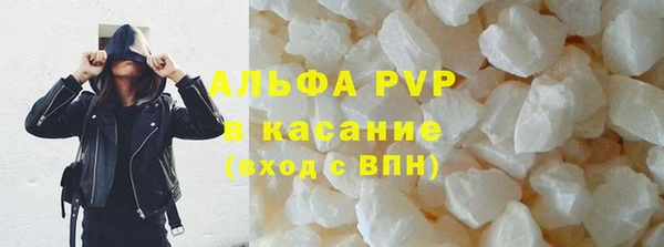 стафф Богородицк