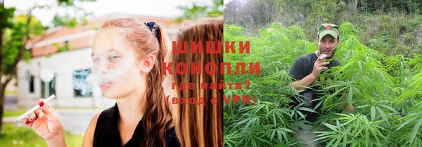 mix Богородск