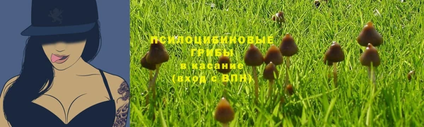 прущая мука Богданович