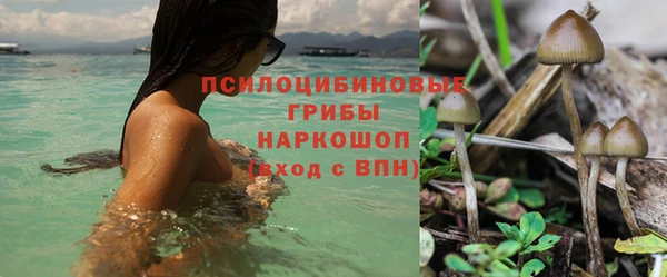 прущая мука Богданович