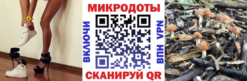 Галлюциногенные грибы MAGIC MUSHROOMS  сколько стоит  гидра сайт  Майкоп 